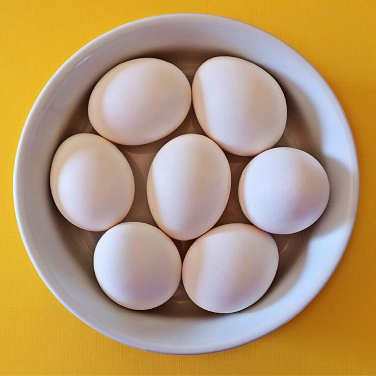 egg-nutrition-center.jpg
