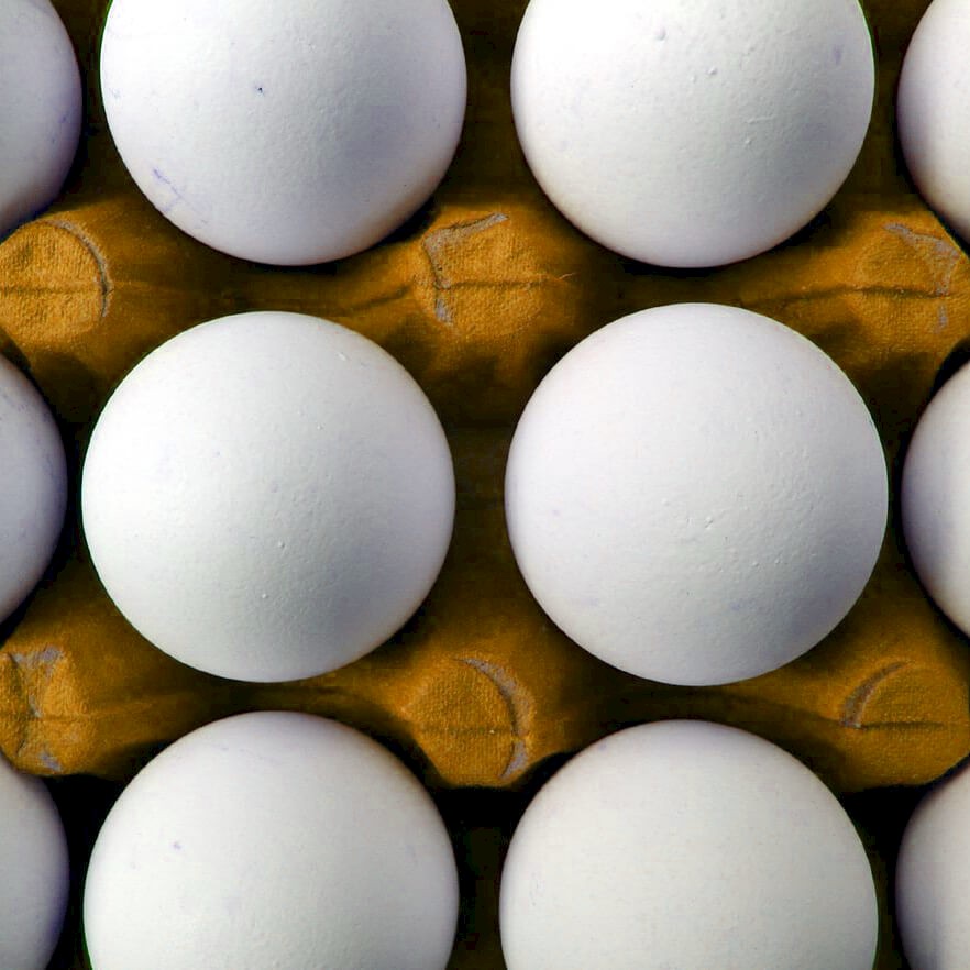 iowa-egg-council.jpg