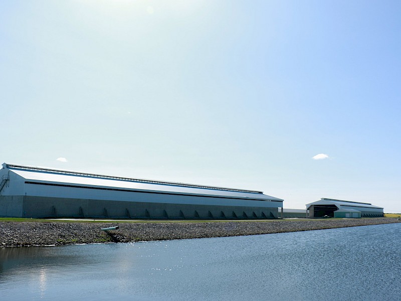 strong-biosecurity-management-at-the-center-of-versova-culture