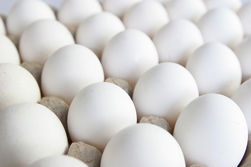 the-nutritional-benefits-of-eggs