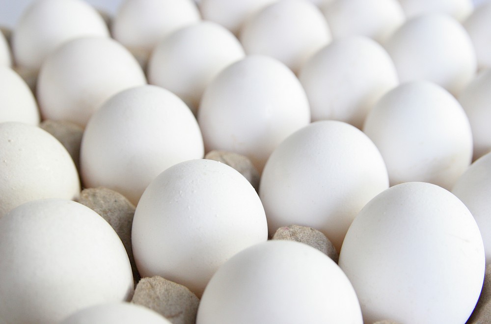 the-nutritional-benefits-of-eggs