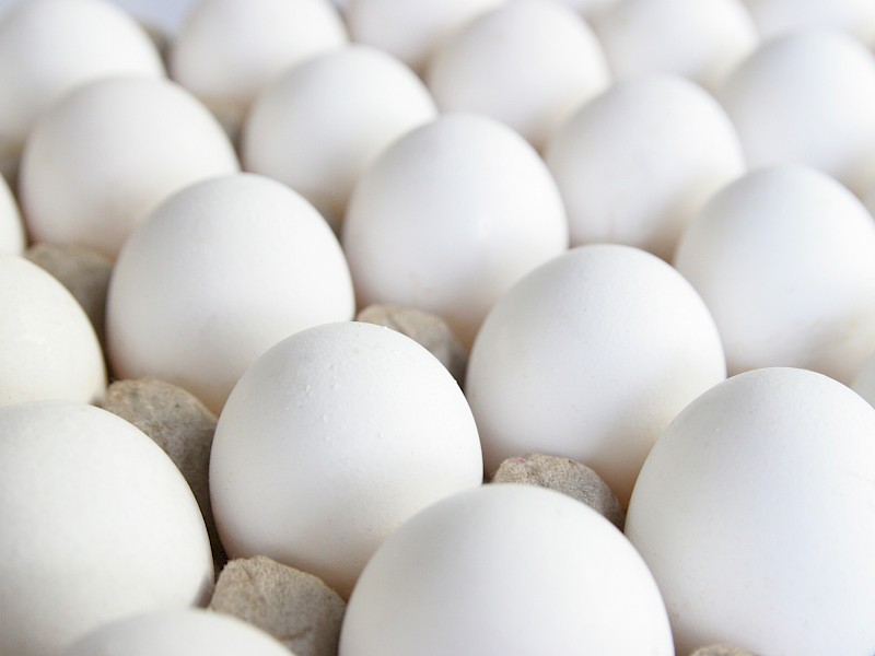 the-nutritional-benefits-of-eggs
