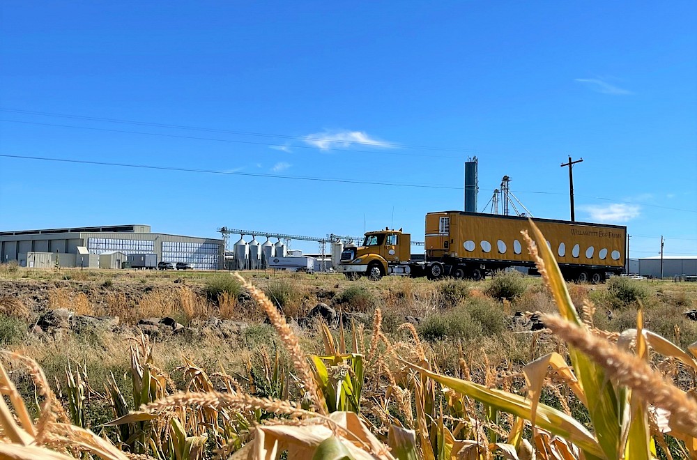 truck_-_feedmill_11_2