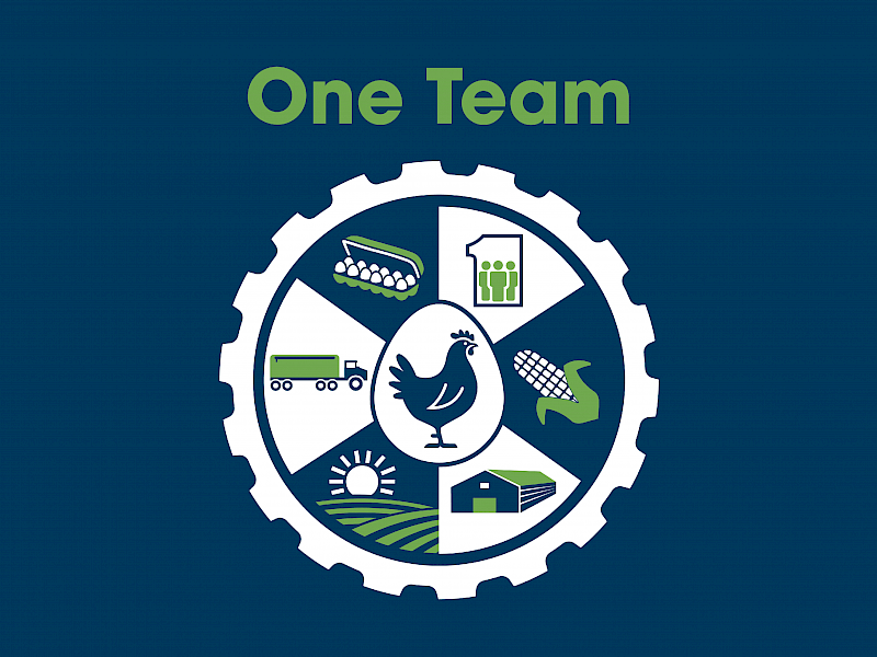 versova-eaw-graphic-1057x703