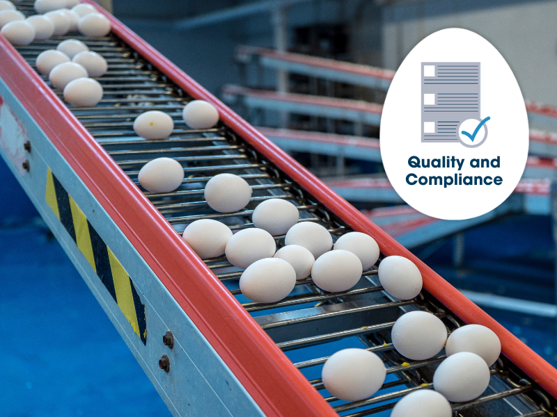 copyversova-quality-and-compliance-blog-thumbnail