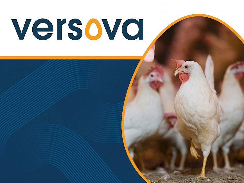 versova_blog_graphics_4-26_thumbnail_blog